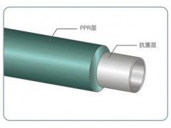 �{�׿�����