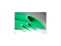 FPPR���w������