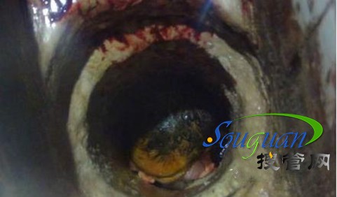 管道孩子_meitu_1