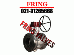 �M�ڲ��P����y