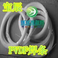 PVDF���l