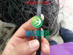 ���a�����lPE�w��