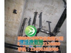 �C���T�F��