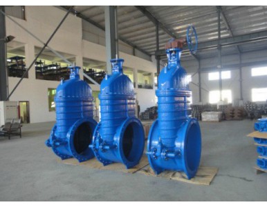 ��ī�T�F�l�y