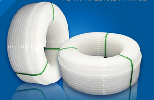 PE������