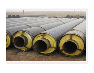 �͜�ֱ��ʽ�A(y��)���������ع�