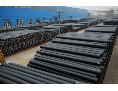 ��ī�T�F��