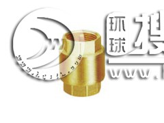 ֹ���y����ʽ��