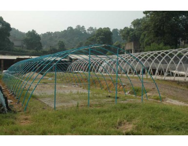 䓼��߲˴���