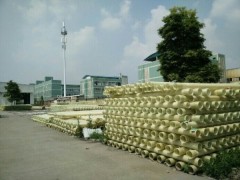 �ɶ�MPP����䓹�