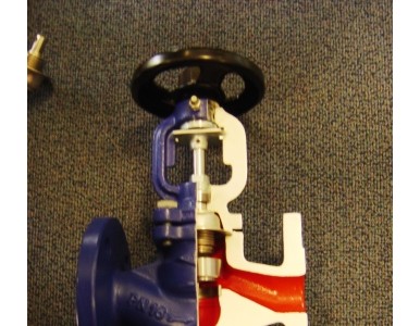 �����p���y��������ֹ�y