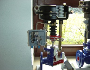 �����ӿ����y,�M�ښ���{���y