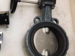 �����_΁݆���Aʽ���y