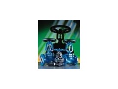 Ӣ��(gu��)˹��ɯ�˲��y���ܷ��ֹ�y