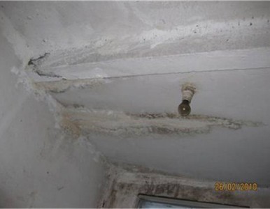 ͨ�L���{�|���z�y ͨ�L���{�|���z�y�����X  Դ����