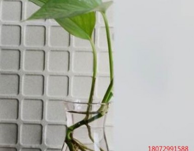 �x������Ĥ_�x���{(di��o)��Ĥ_�x������Ĥ_���N��