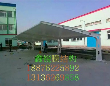 ����Ĥ�Y���S��*�������NĤ�Y��*��������Ĥ�Y��*���J��