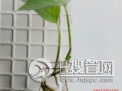 ���d����|�ԝ�����|���ܲ���|���N��