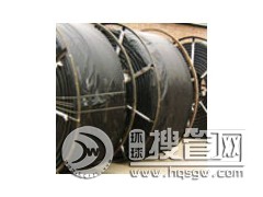 ��ȼ��о���N�۹���