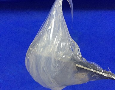 ���U�D�S����֬ ��ճ������֬