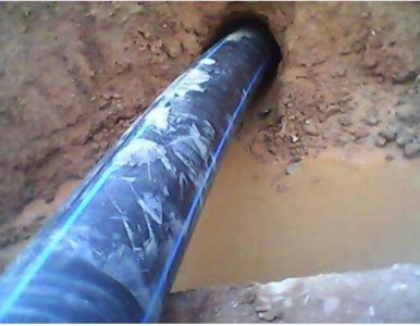 ����Ʒ��_�ڹ���������