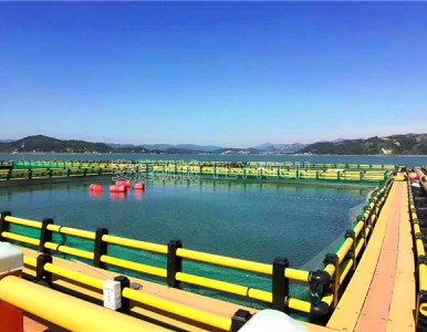 �S��ֱ�NPE�������̤���O(sh��)�����a(ch��n)��