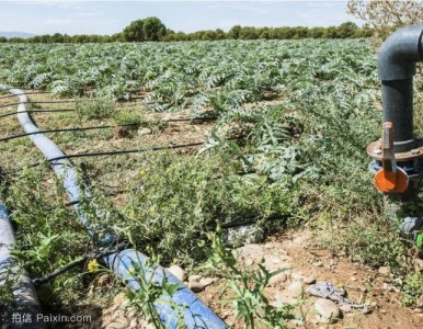 ����ƈ@�־G������PE��ȹܲ�