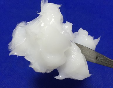 O���ܷ�Ȧ����֬ ����չ�֬