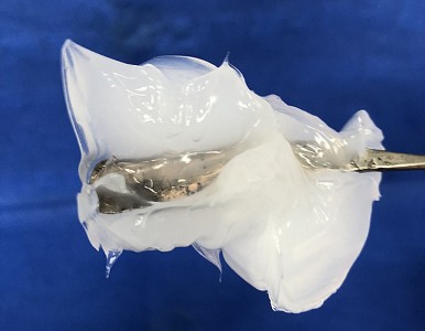 ����֬ ���z����֬