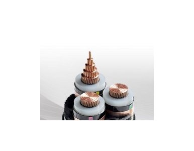 ���C���y�h�|��|��������|�����׵͟��o�u��|�����y�h�|��|