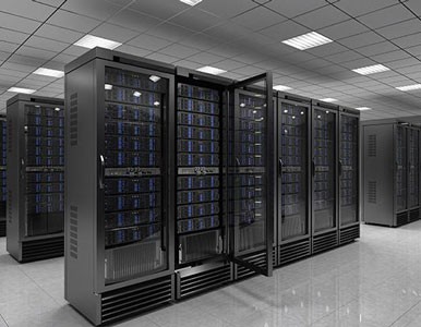 �C�����^���r