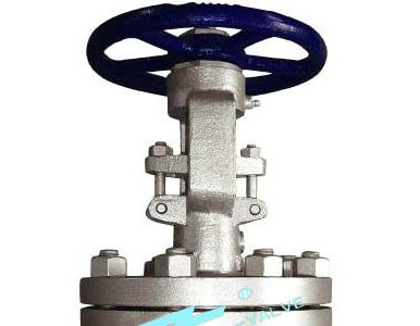 �Ϻ����N���T䓷��m�l�y���F؛�ṩȫҎ(gu��)����̓�(y��u)�M�r