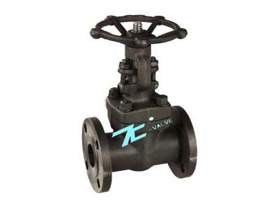 �Ϻ��������N(xi��o)�����l�y��TCƷ��-�F(xi��n)؛�ṩȫҎ(gu��)����̓�(y��u)�M(f��i)�r(ji��)