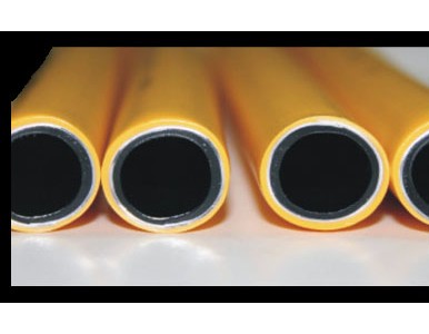 ȼ�����X�܏ͺϹ�