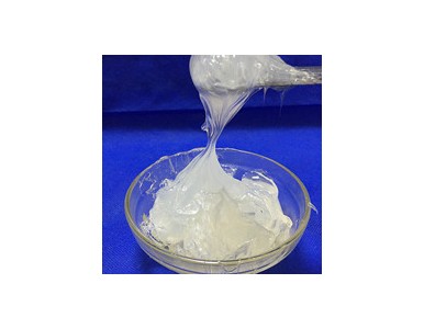 ��ճ������֬ ��퓾��_��