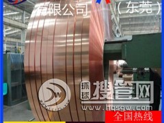 c1100���~����t5�M�ڒ������~��/t3���������~��