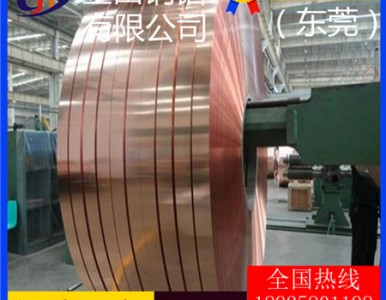 c1100���~����t5�M(j��n)�ڒ������~��/t3���������~��