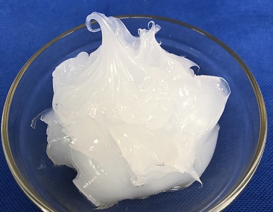 ��֬�͸� ���z����֬